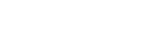 Flentas X Skyflow New Logo